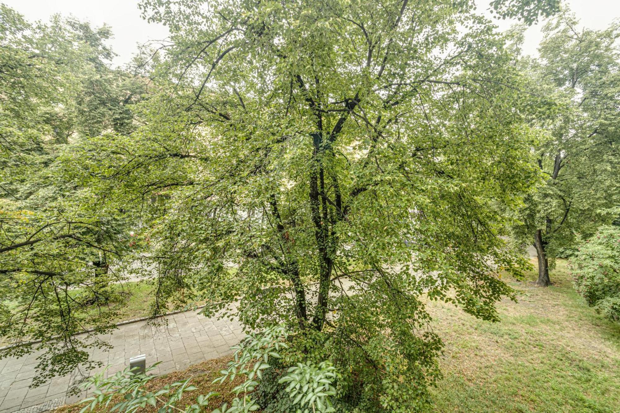 Rentplanet - Apartament Kosciuszki Vratislav Exteriér fotografie