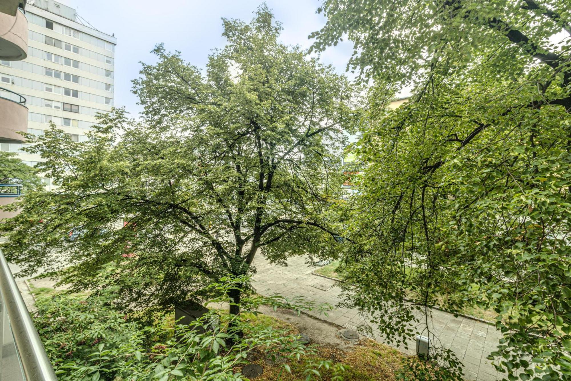 Rentplanet - Apartament Kosciuszki Vratislav Exteriér fotografie